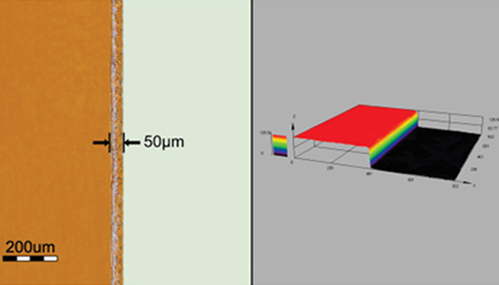 microscopic-image